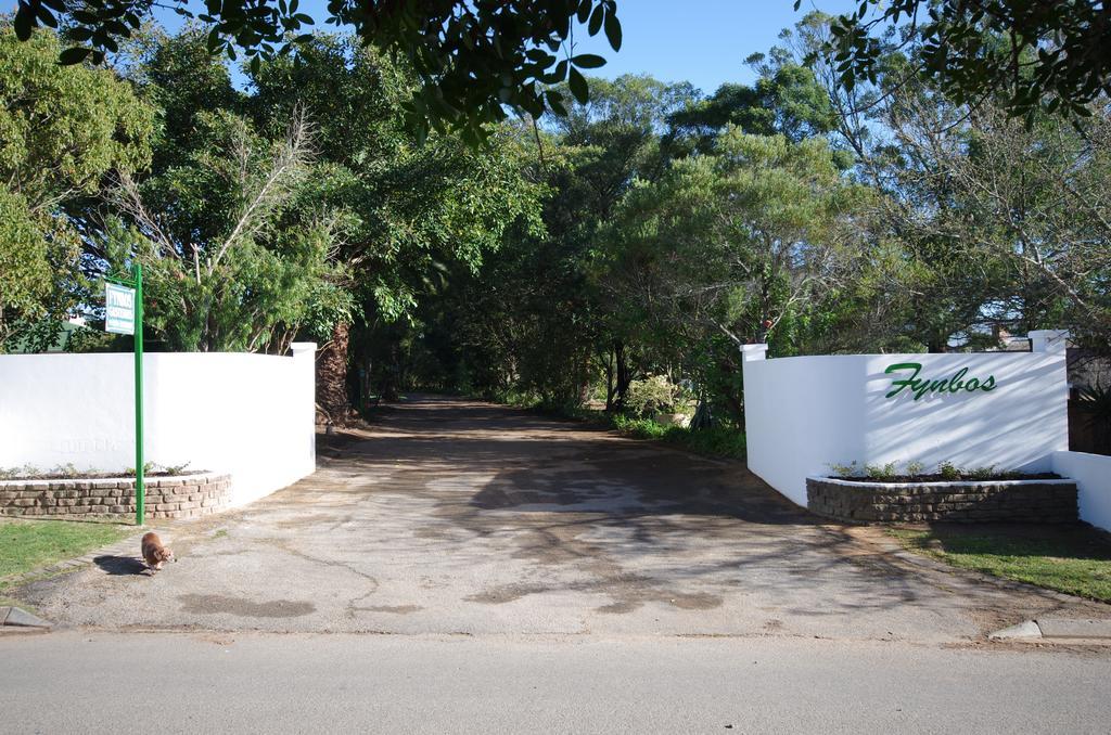 Fynbos Guest House Ривърсдейл Екстериор снимка