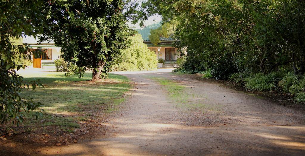 Fynbos Guest House Ривърсдейл Екстериор снимка