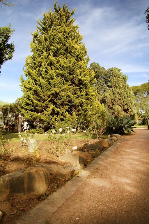 Fynbos Guest House Ривърсдейл Екстериор снимка